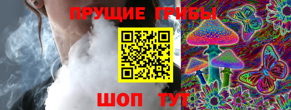 Псилоцибиновые грибы Cubensis Углич